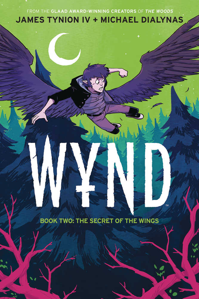 Wynd Graphic Novel Book 02 Secret Of The Wings