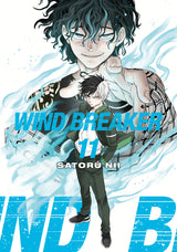Wind Breaker Graphic Novel Volume 11