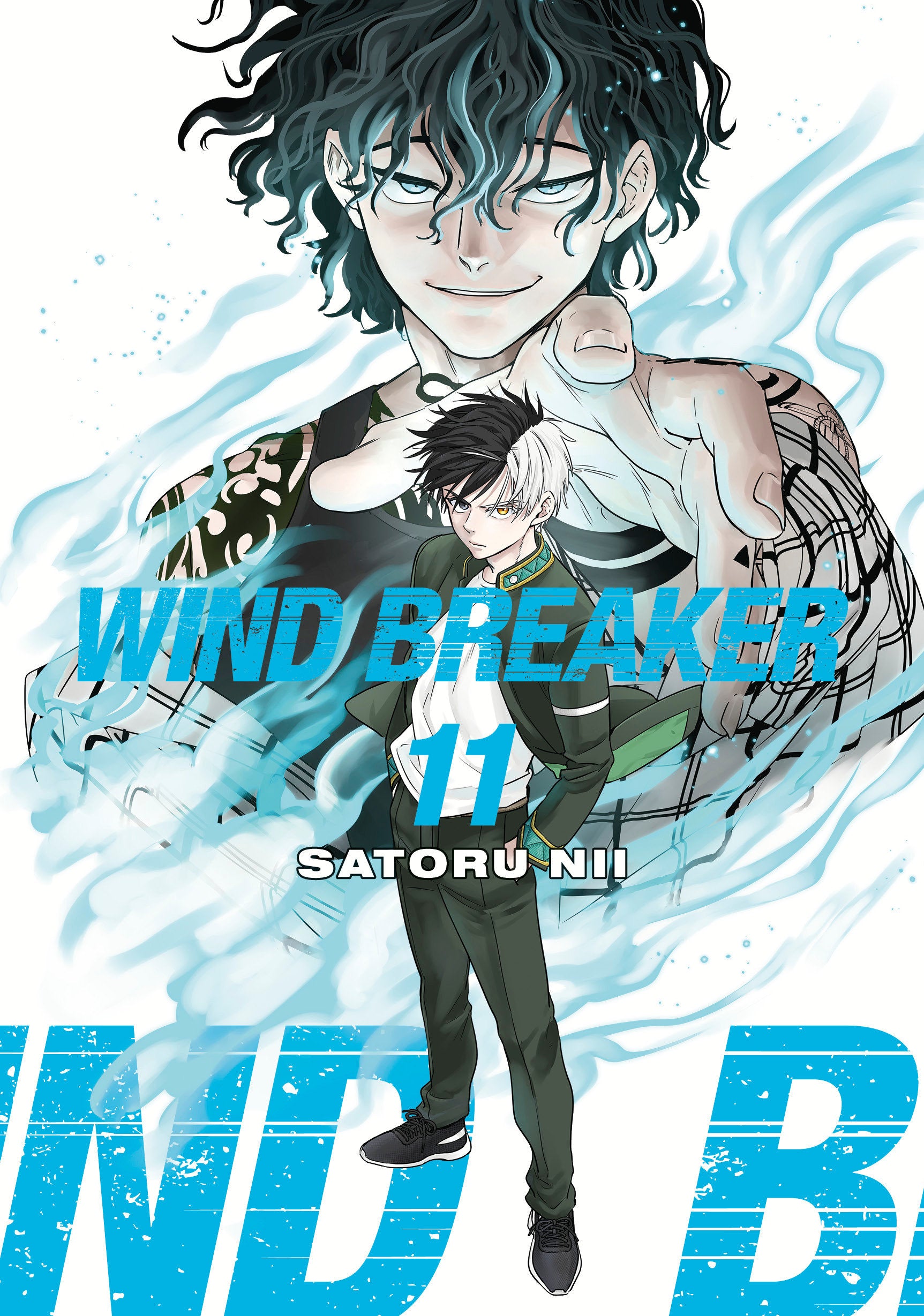 Wind Breaker Graphic Novel Volume 11