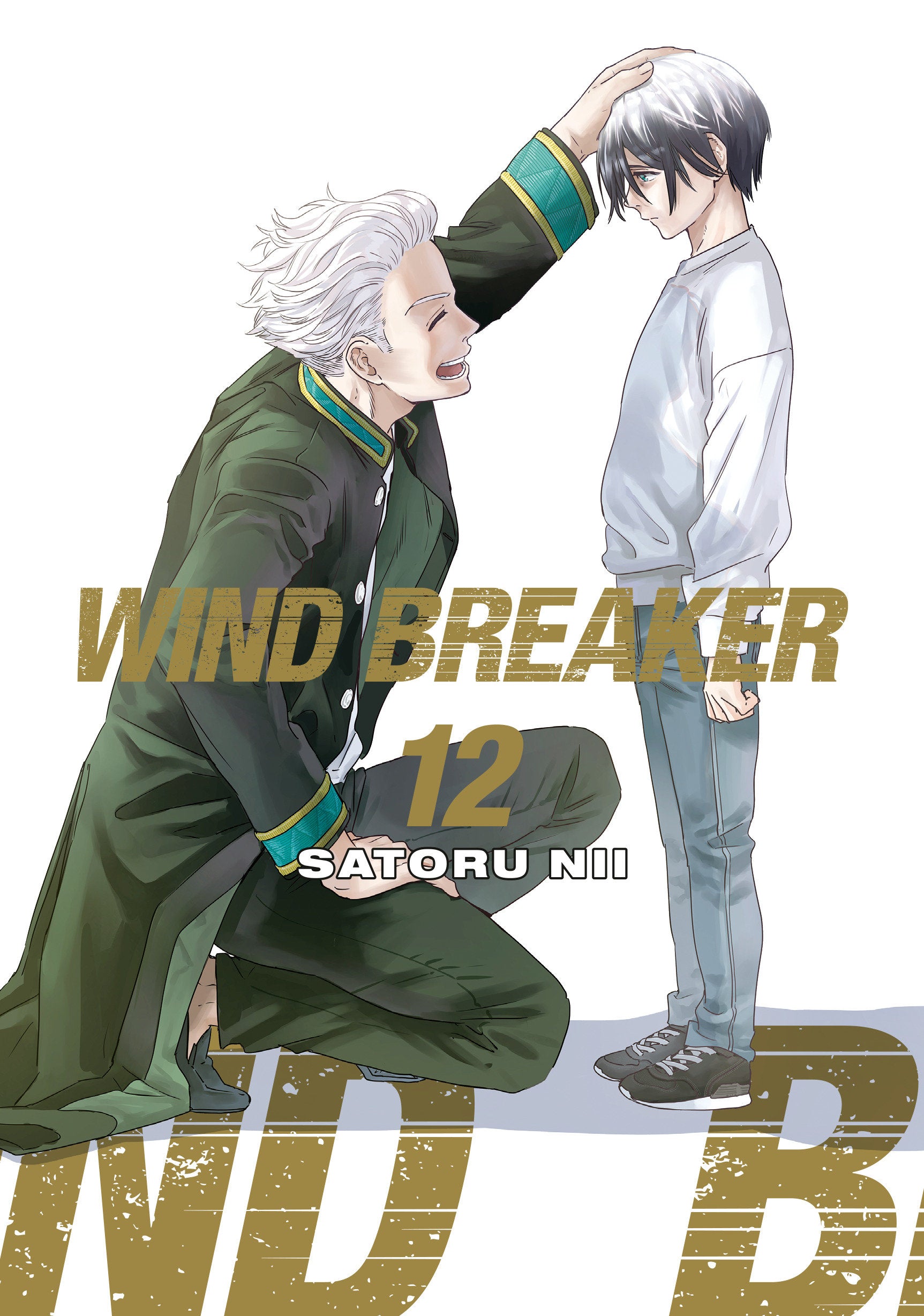 Wind Breaker Graphic Novel Volume 12