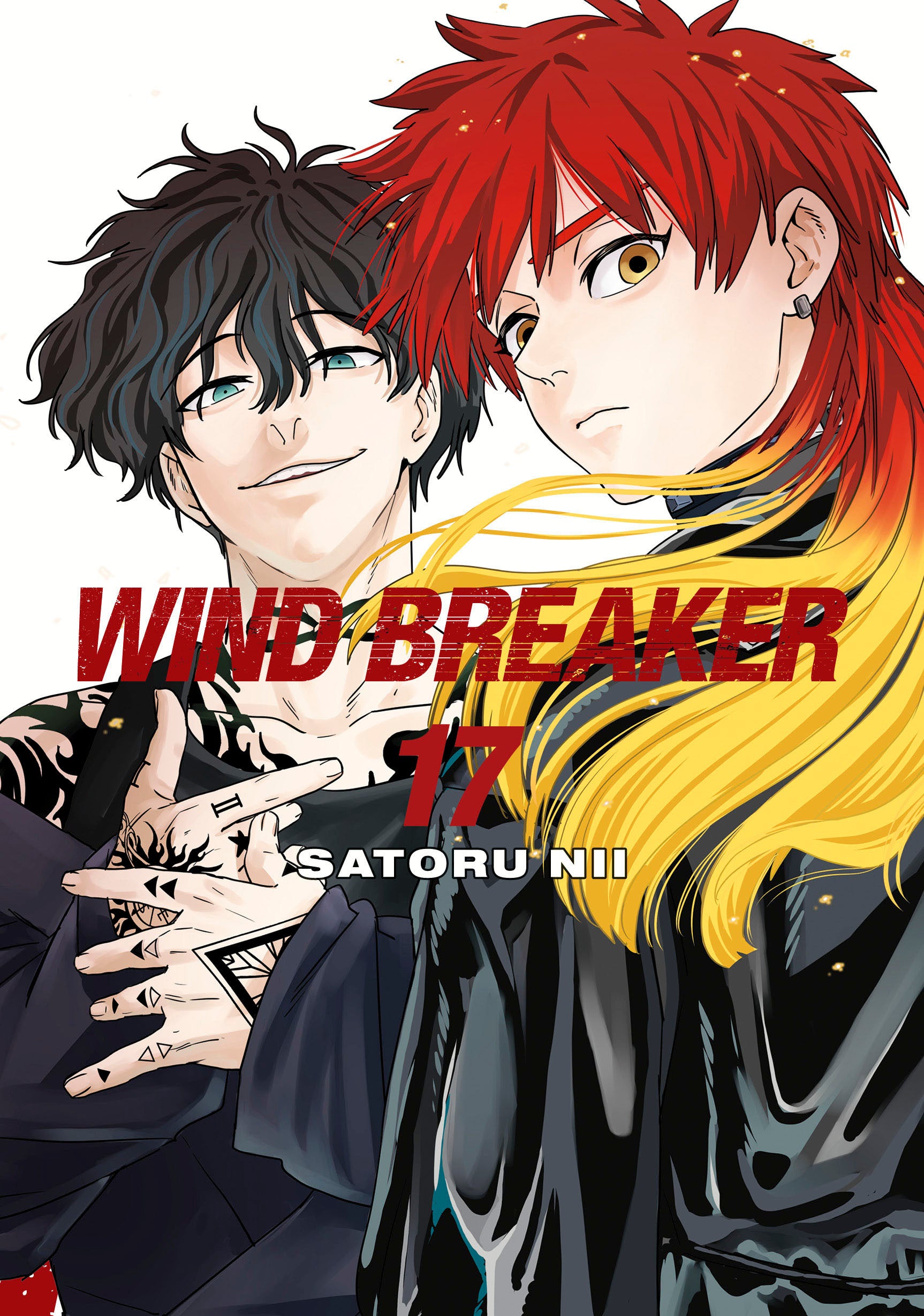 Wind Breaker Graphic Novel Volume 17