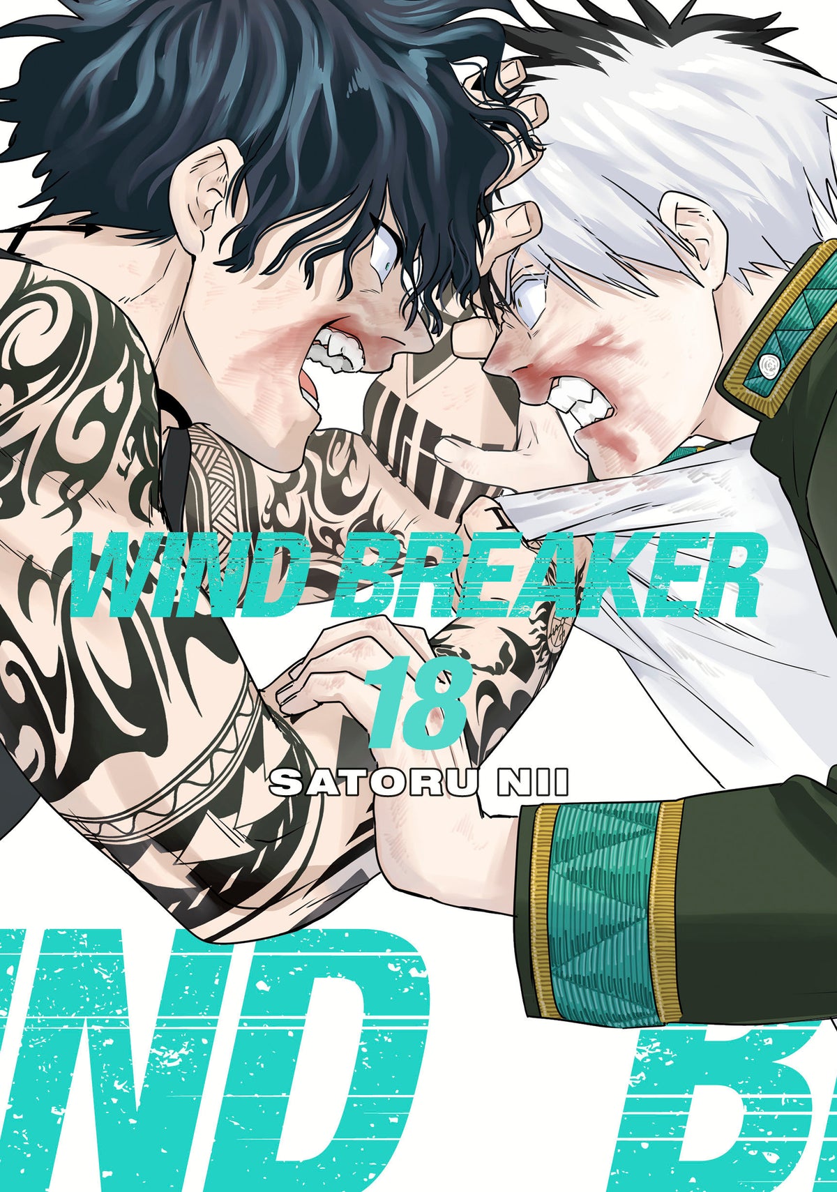 Wind Breaker Graphic Novel Volume 18