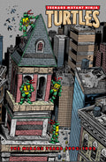 Teenage Mutant Ninja Turtles The Mirage Years (1993–1995)