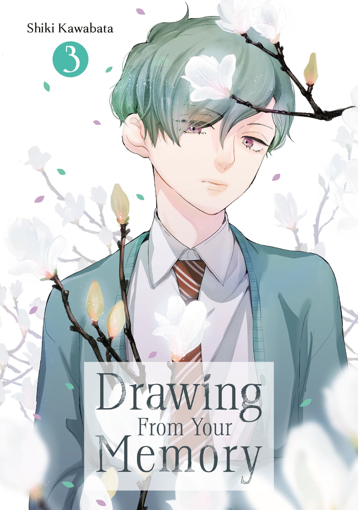 Drawing From Your Memory Graphic Novel Volume 03