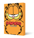 Garfield Graphic Novel Book One