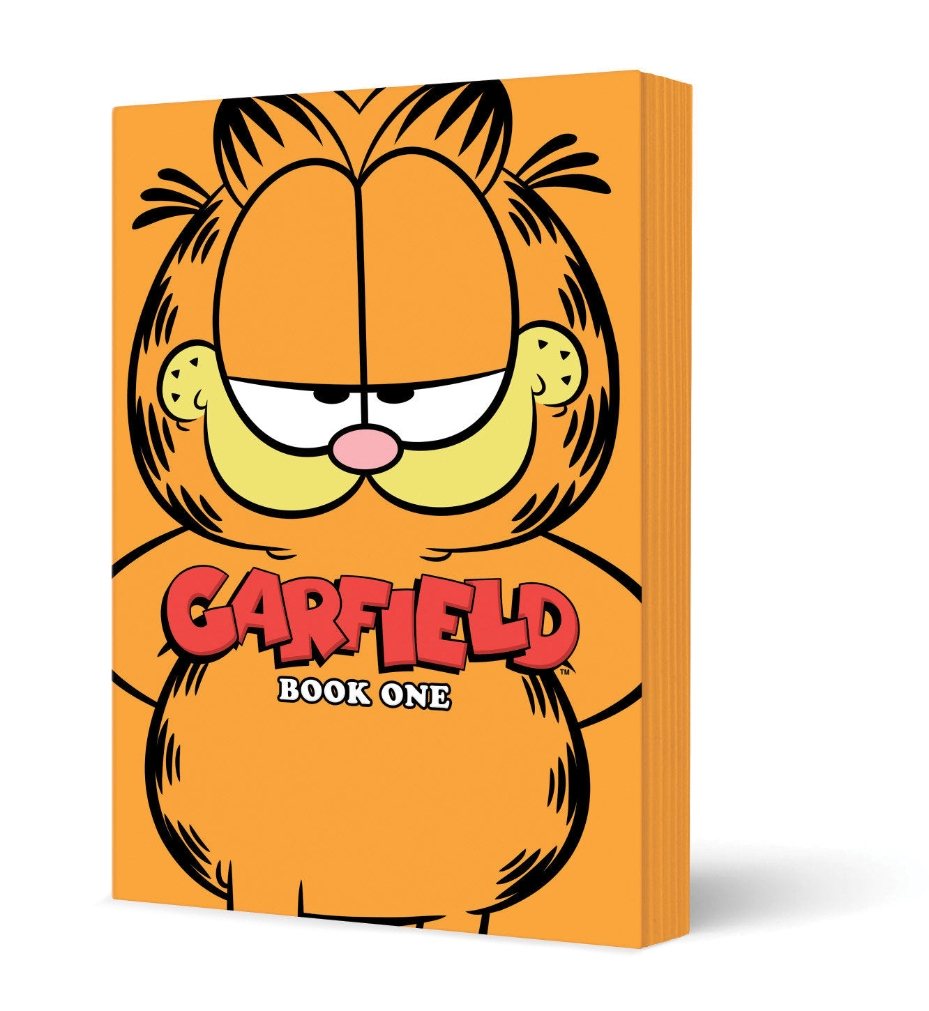 Garfield Graphic Novel Book One