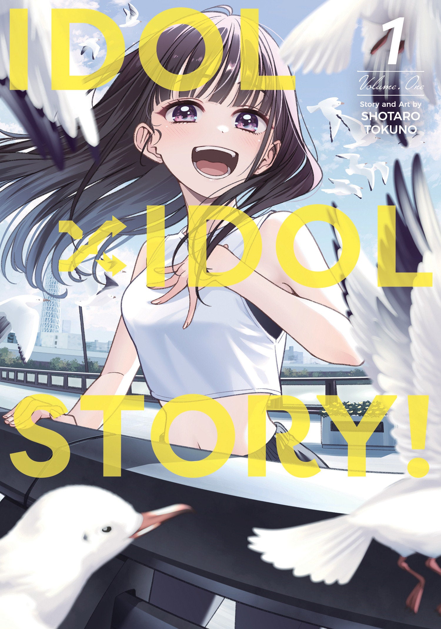 Idol X Idol Story! Volume 01