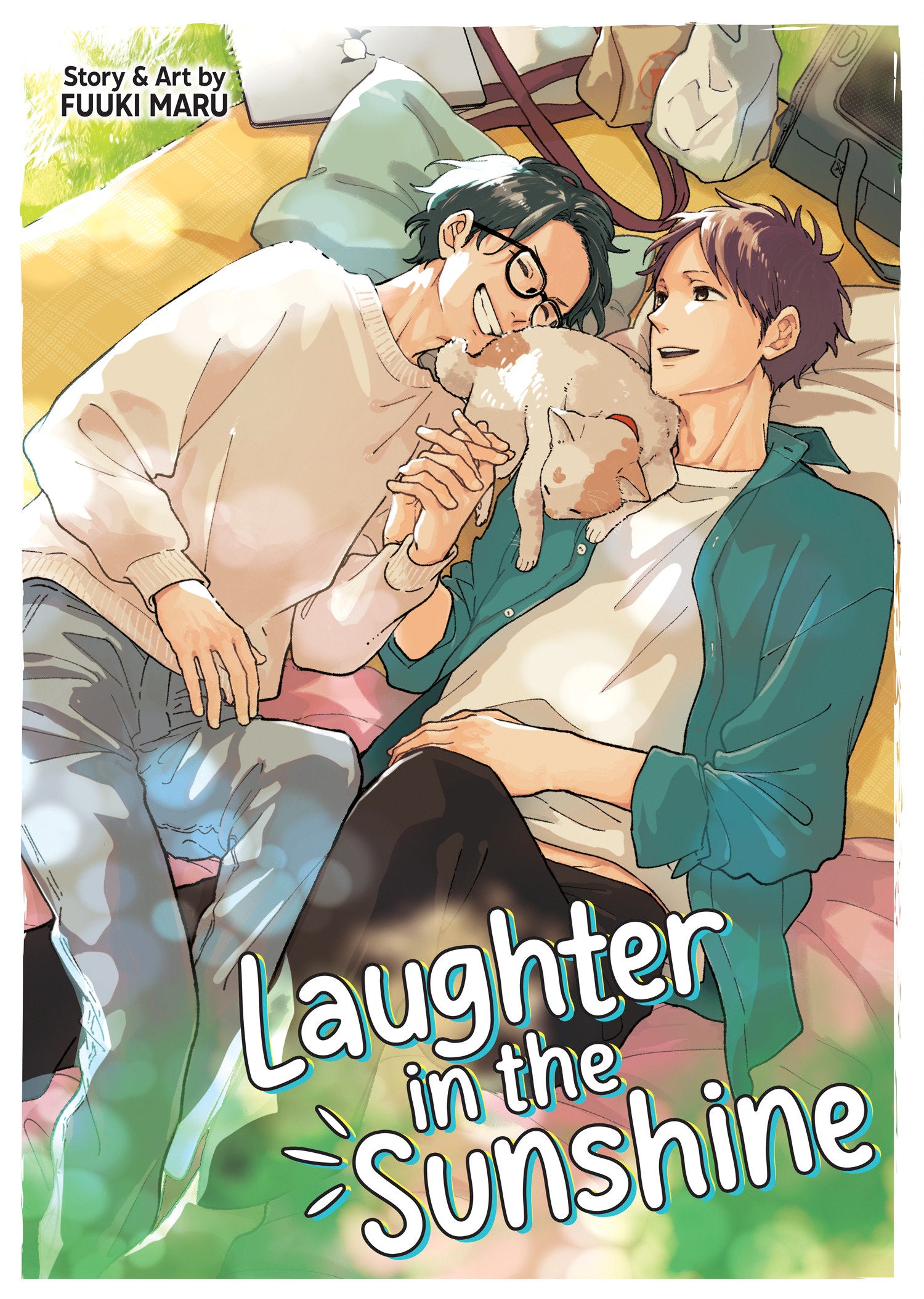 Laughter In The Sunshine Graphic Novel