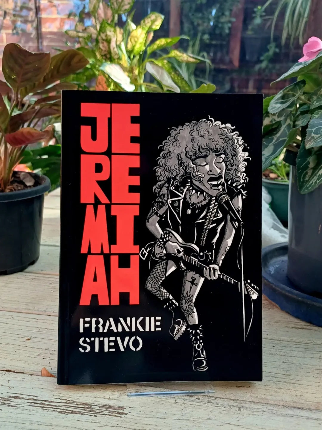 Jeremiah Graphic Novel
