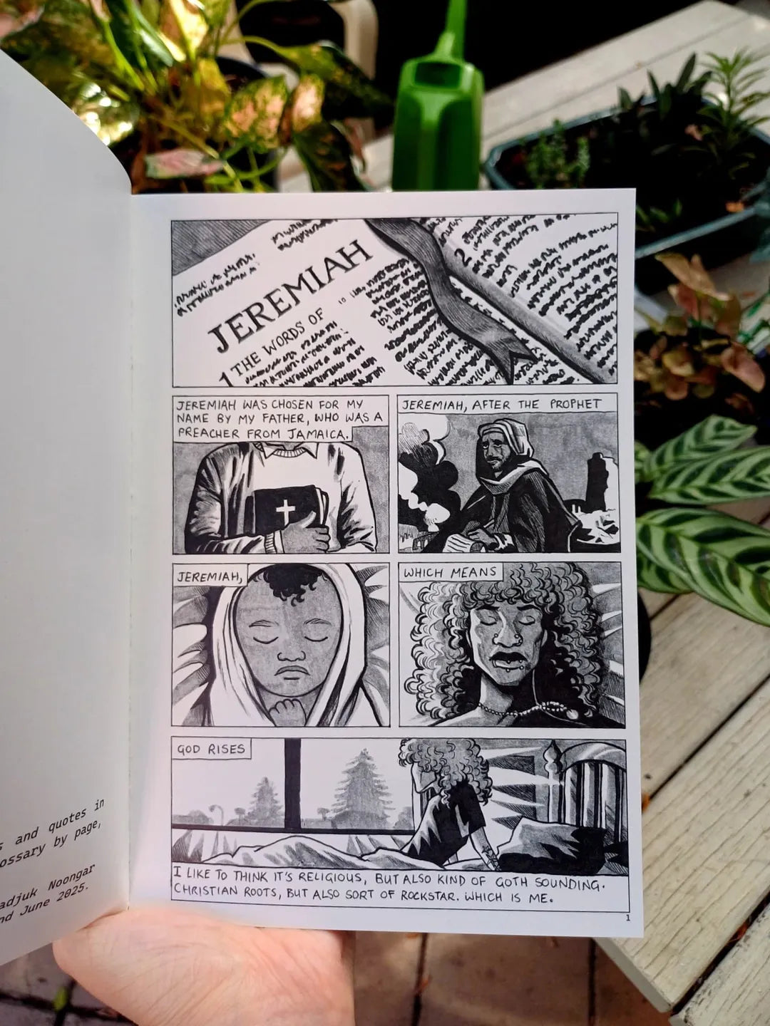 Jeremiah Graphic Novel