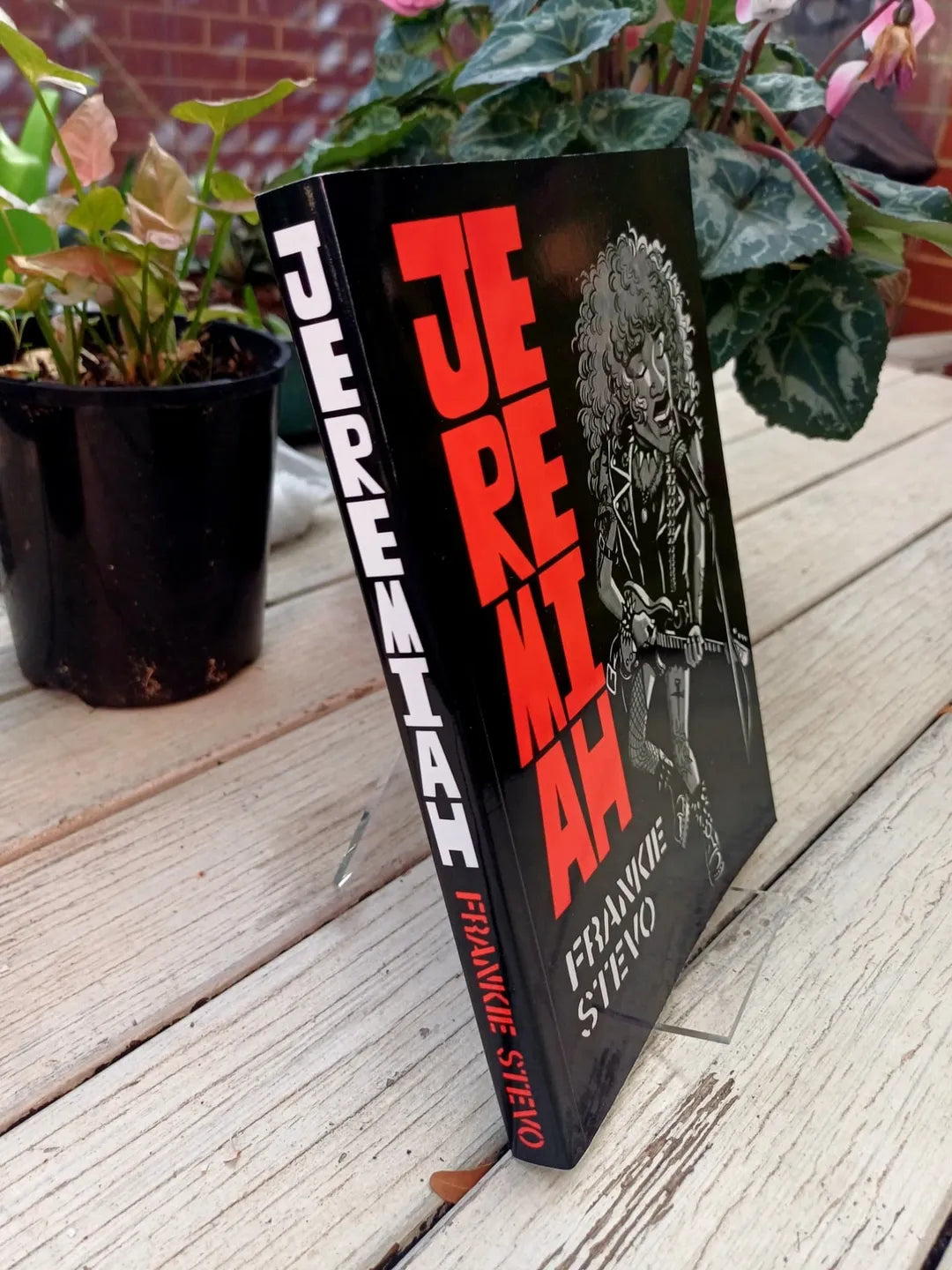 Jeremiah Graphic Novel
